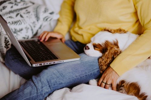 Woman having an online counselling session with dog on her lap